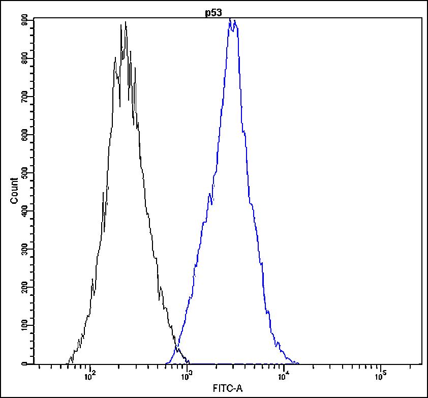 Anti-p53 Antibody [H21-E] - Identical to Abcam (ab139565)