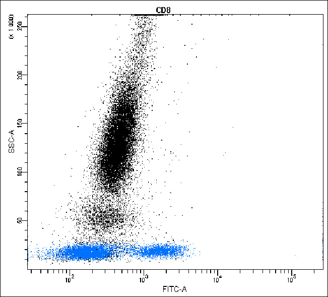 Anti-CD8 Antibody [N21-G]