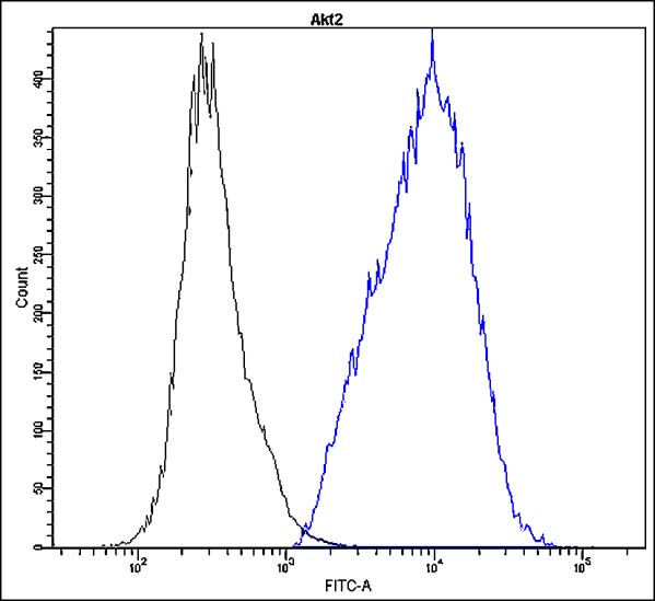 Anti-Akt2 Antibody [Y14-H]