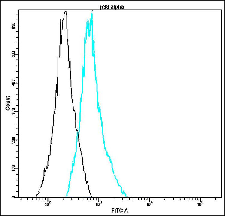 Anti-p38 alpha Antibody [I15-E]