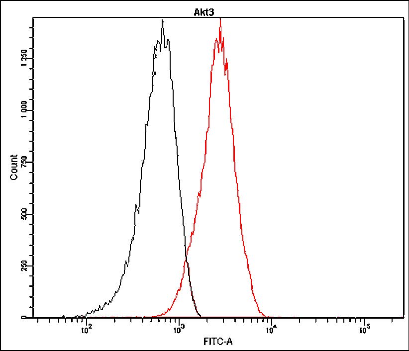 Anti-Akt3 Antibody [K17-H]