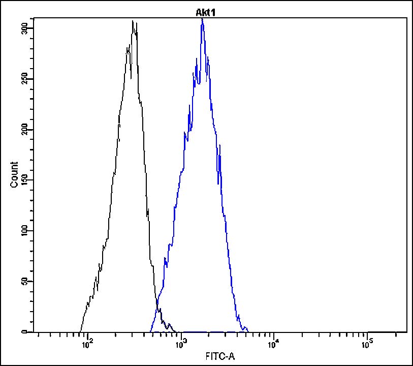 Anti-Akt1 Antibody [V19-T]