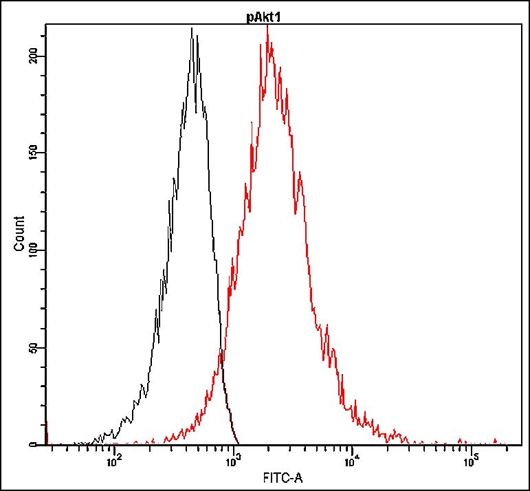 Anti-Akt1 (phospho Ser473) Antibody [D17-G]