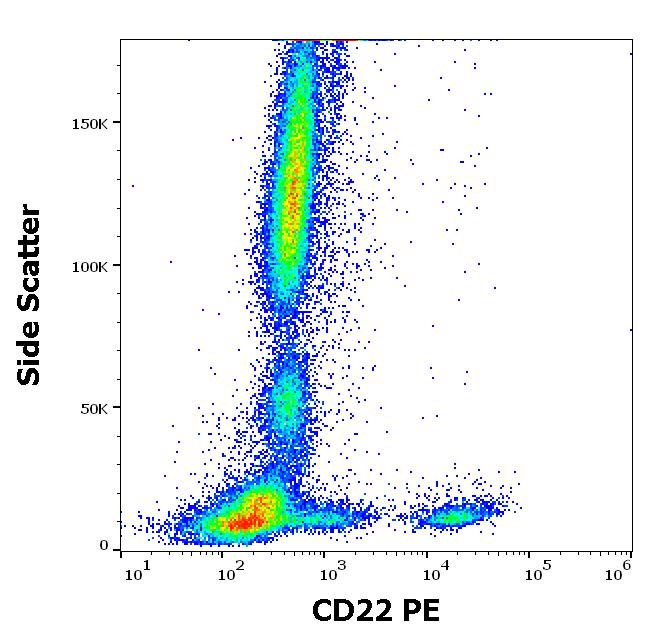 Anti-CD22 Antibody [MEM-01] (PE)