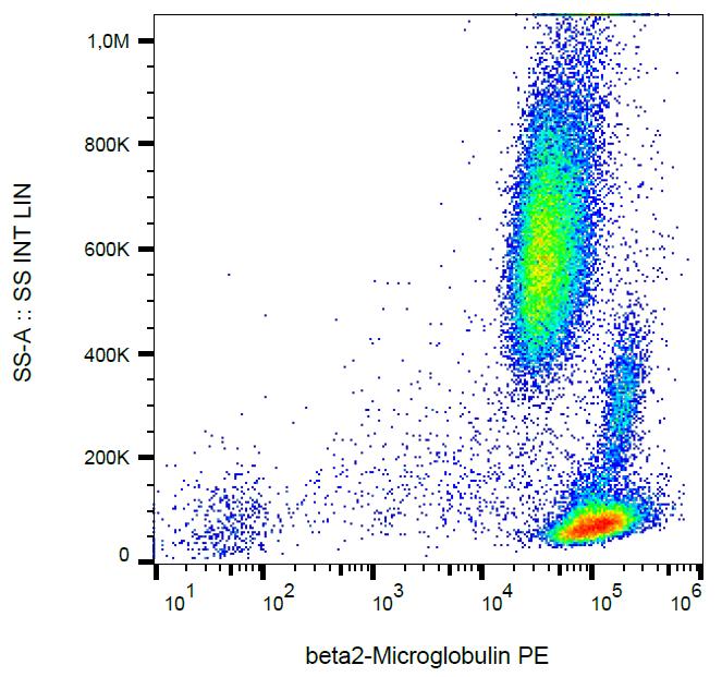 Anti-beta 2 Microglobulin Antibody [B2M-01] (PE)