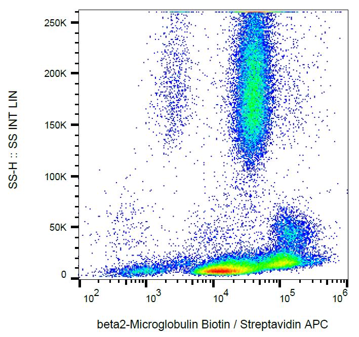 Anti-beta 2 Microglobulin Antibody [B2M-01] (Biotin)