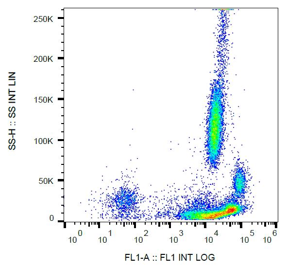 Anti-beta 2 Microglobulin Antibody [B2M-01] (FITC)