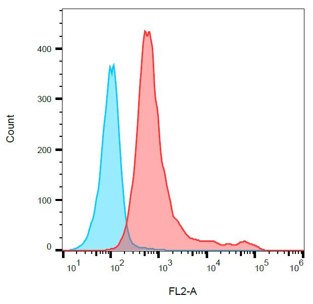 Anti-CD161 Antibody [10/78] (PE)