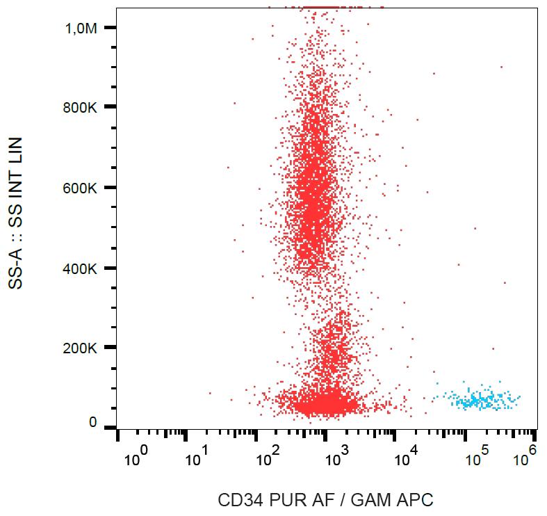 Anti-CD34 Antibody [QBEnd-10] - BSA and Azide free