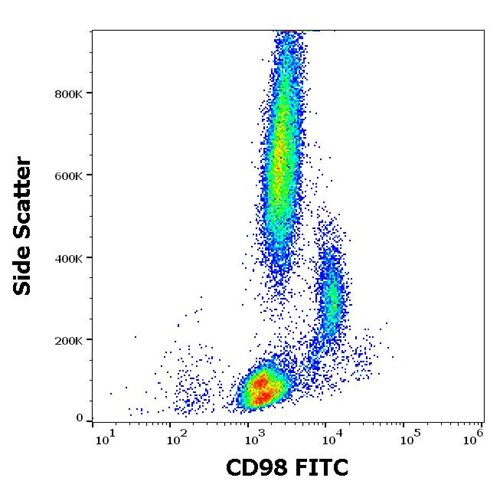 Anti-CD98 Antibody [MEM-108] (FITC)