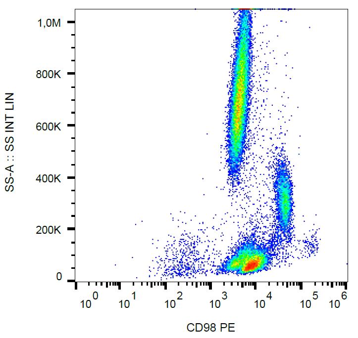 Anti-CD98 Antibody [MEM-108] (PE)