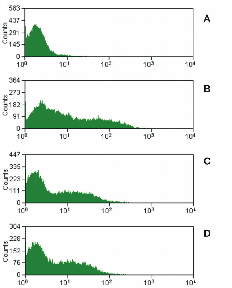 Anti-CD16 Antibody [MEM-168]