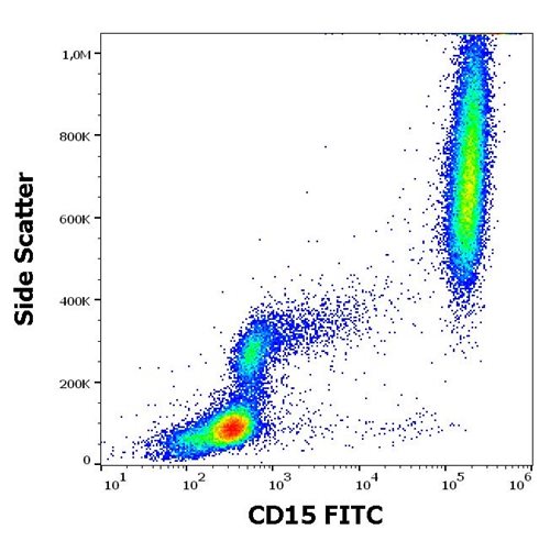 Anti-CD15 Antibody [MEM-158] (FITC)