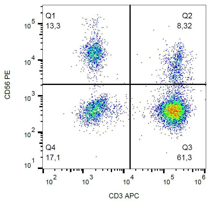 Anti-NCAM1 Antibody [MEM-188] (PE)