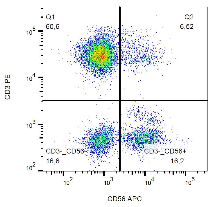 Anti-NCAM1 Antibody [MEM-188] (APC)