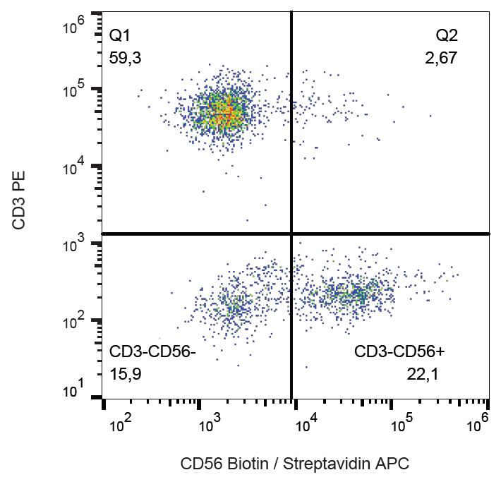 Anti-NCAM1 Antibody [MEM-188] (Biotin)