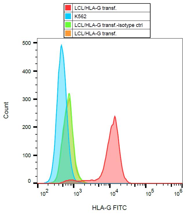 Anti-HLA G Antibody [MEM-G/9] (FITC)