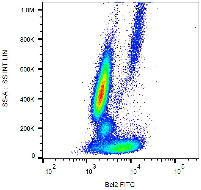 Anti-Bcl-2 Antibody [Bcl-2/100] (FITC)