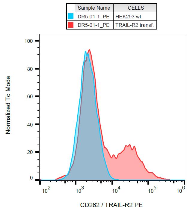 Anti-DR5 Antibody [DR5-01-1] (PE)