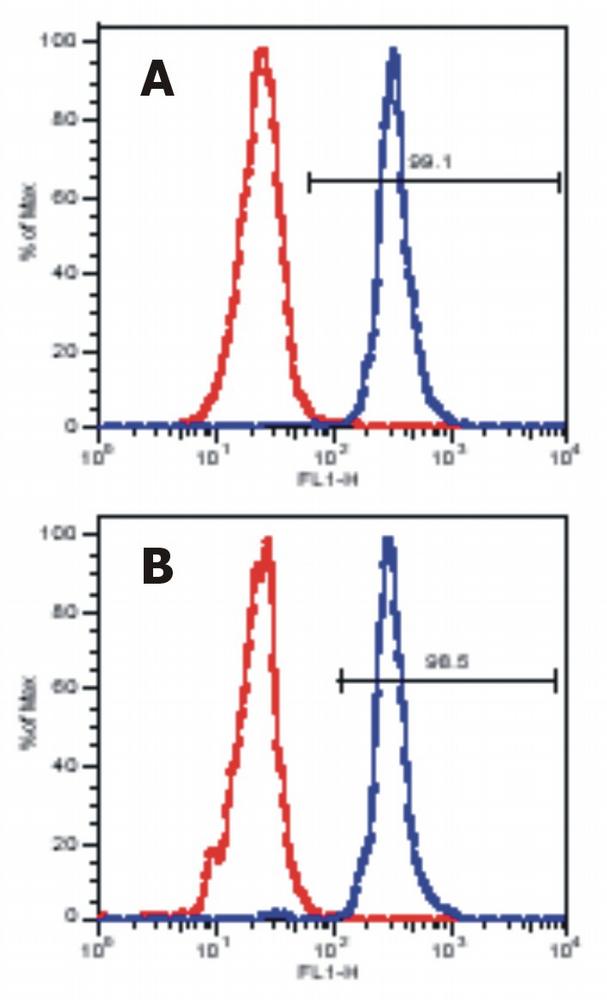 Anti-LAT Antibody [LAT-01]