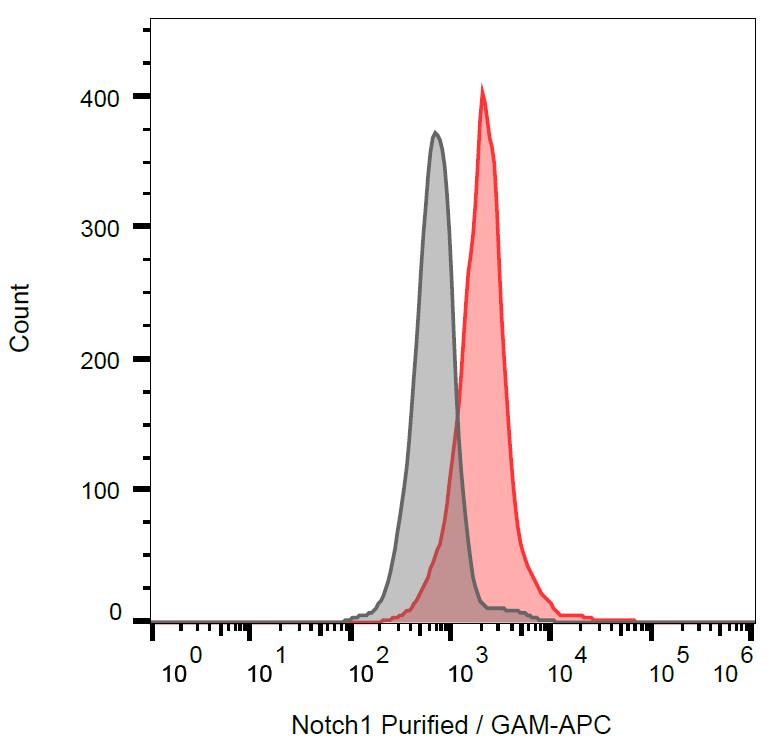 Anti-Notch1 Antibody [mN1A] - Identical to Abcam (ab128076)