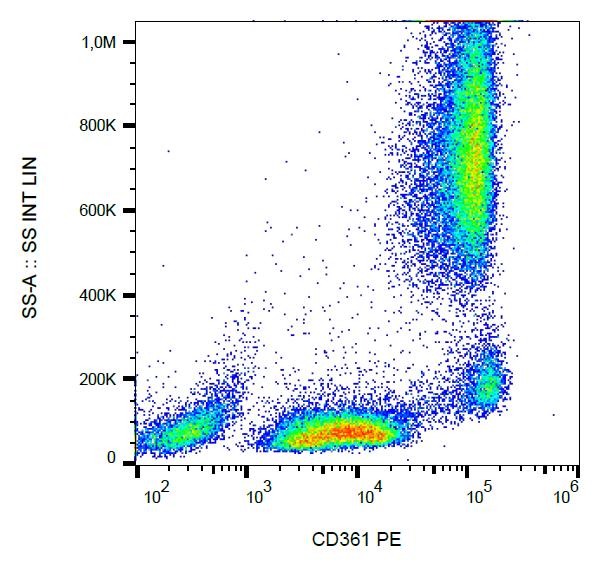 Anti-CD361 Antibody [MEM-216] (PE)