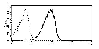 Anti-CD361 Antibody [MEM-216]