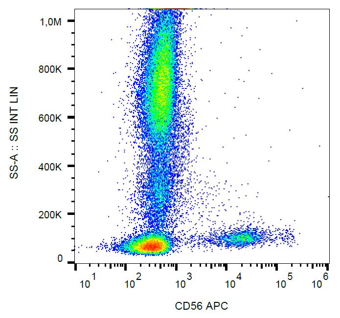 Anti-NCAM1 Antibody [LT56] (APC)