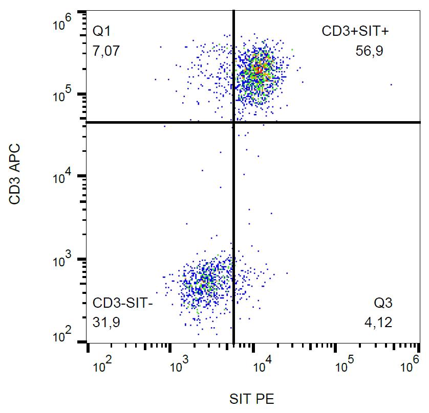 Anti-SIT Antibody [SIT-01] (PE)